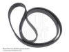 BLUE PRINT AD06R2565 V-Ribbed Belts